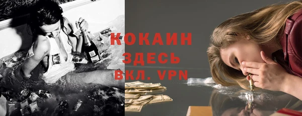 ECSTASY Бикин