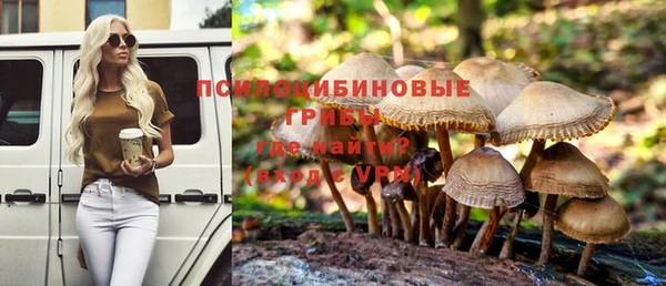 тгк Новокубанск