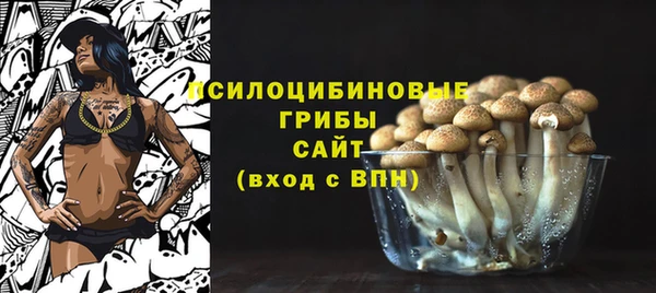 мдпв Наволоки