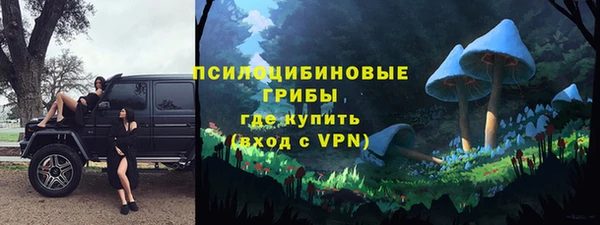 марки lsd Новозыбков