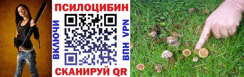 Галлюциногенные грибы мицелий  цены   Кандалакша 