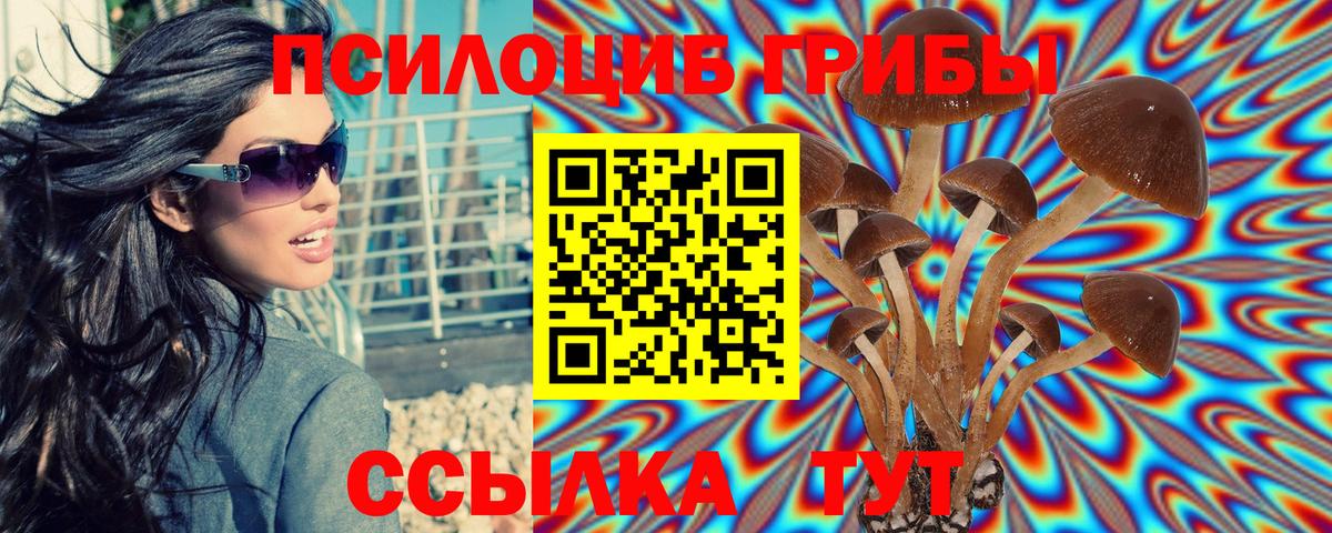 Галлюциногенные грибы мицелий  Вход с VPN  Кандалакша 